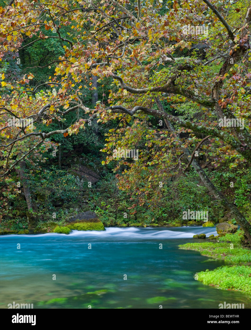 Big Spring, Ozark National Scenic Riverways, Missouri Banque D'Images