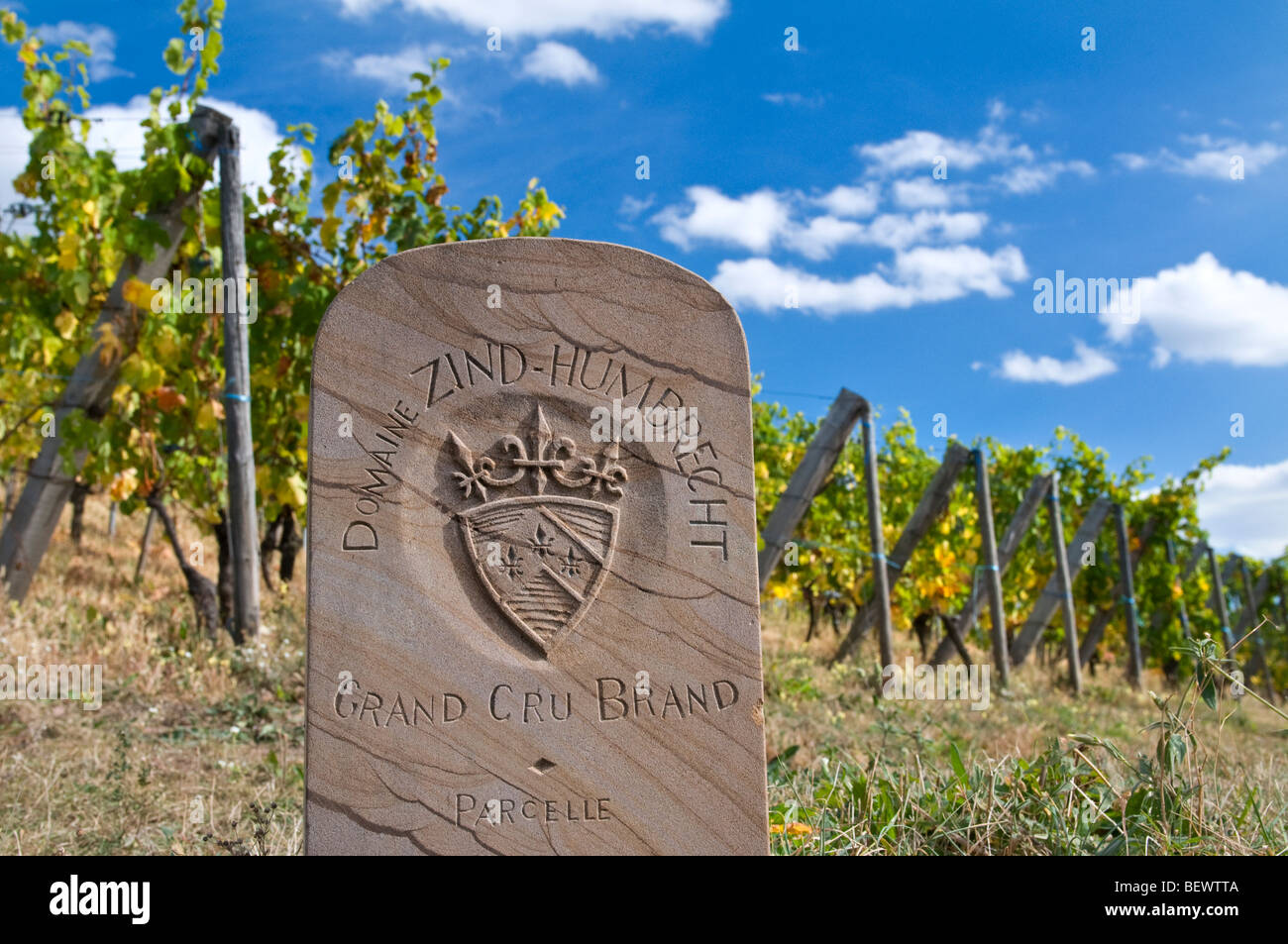 ALSACE Zind-HUMBRECHT Pierre marqueur dans le vignoble Grand Cru Brand parcelle du domaine Zind-Humbrecht Turckheim Alsace Banque D'Images