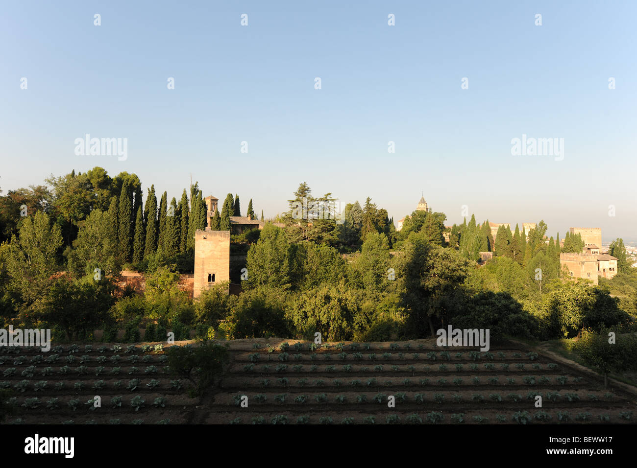 Vue des jardins du Generalife vers le Palace, palais de l'Alhambra Alcazaba et complexe, Grenade, Andalousie, Espagne Banque D'Images