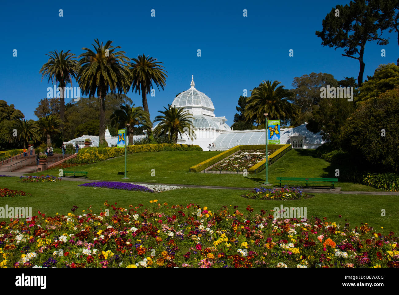 Californie : San Francisco. Conservatoire des fleurs dans le parc du Golden Gate. Photo copyright Lee Foster. Photo #  : 23-casanf78901 Banque D'Images