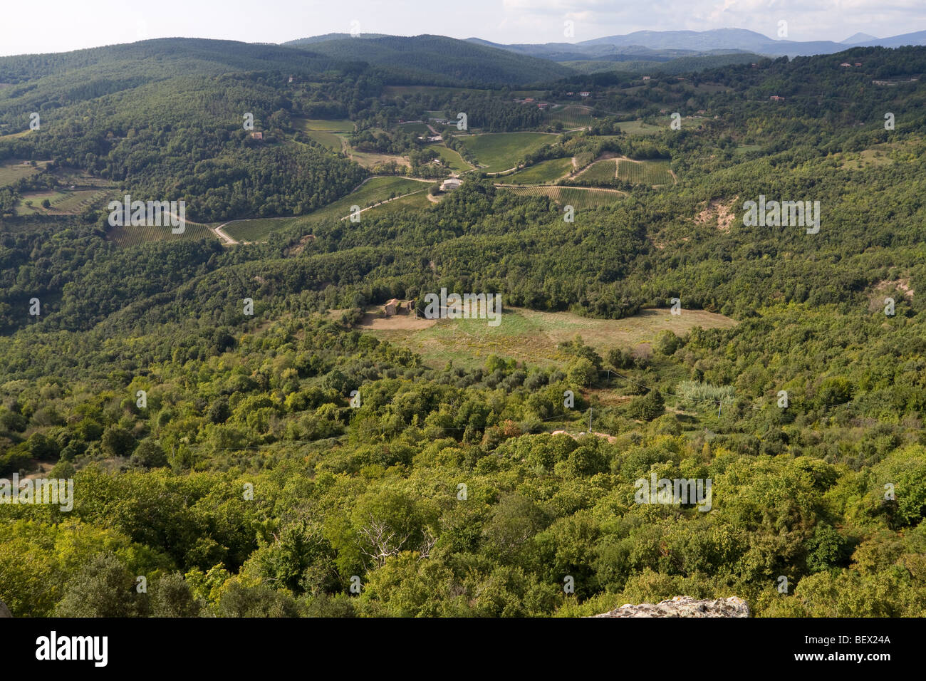 Paysage de la Toscane, Italie Banque D'Images