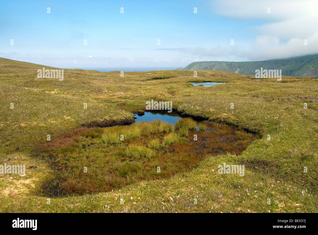 Paysage sur Unst dans les îles Shetland au large de l'Ecosse Banque D'Images