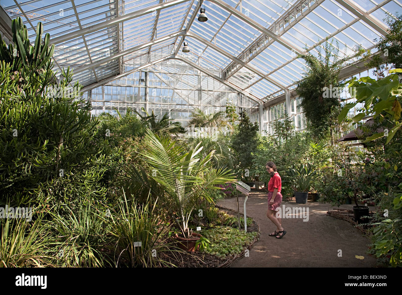 Femme lisant ouvrir les Jardins Botaniques Nationaux Nationale Plantentuin Meise Bruxelles Belgique Banque D'Images