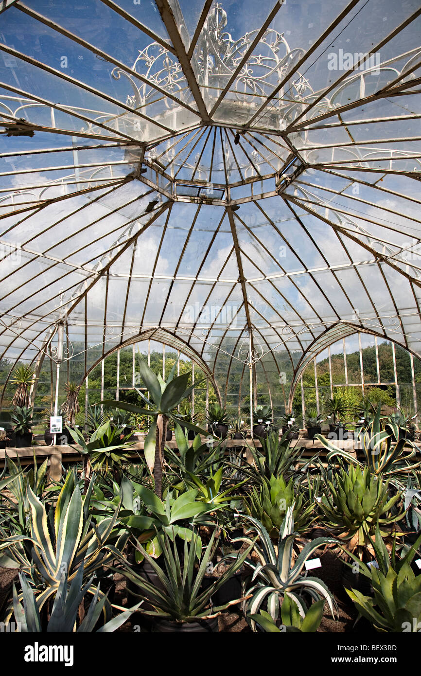 Serre Balat Jardin Botanique National Nationale Plantentuin Meise