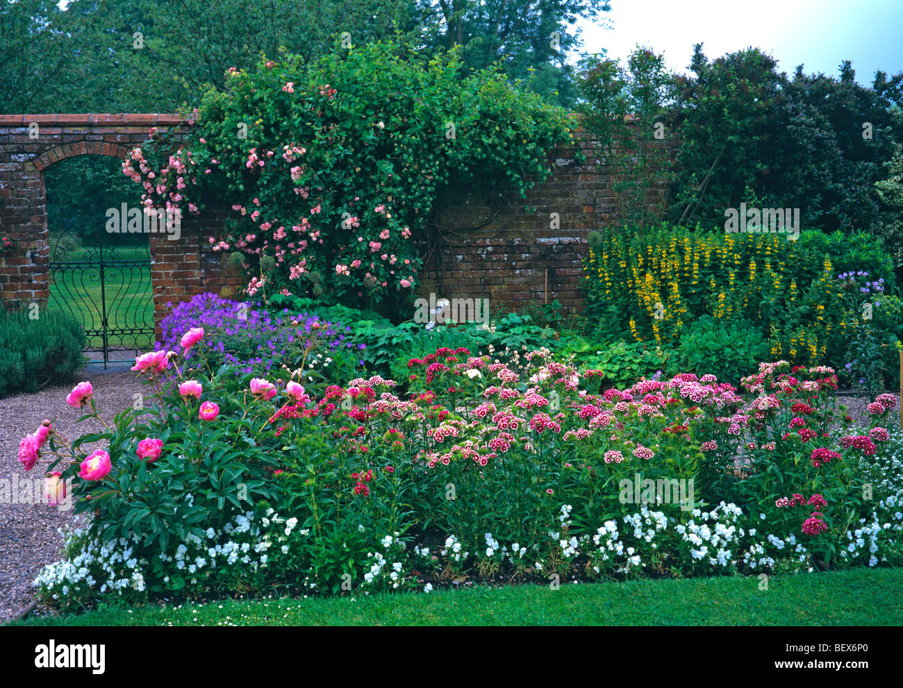 Dans un pays frontières floral garden Banque D'Images