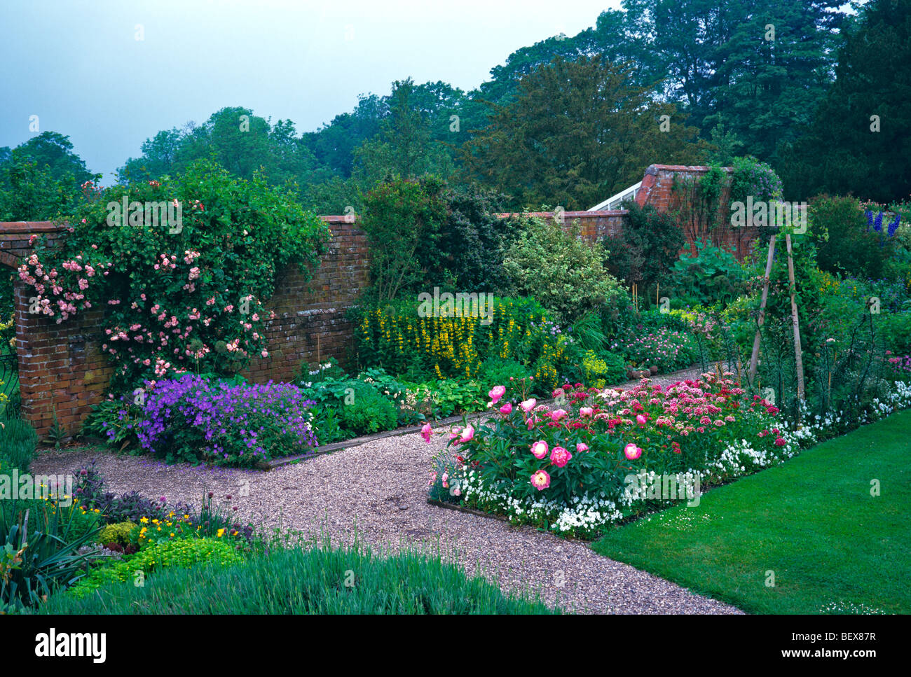 Dans un pays frontières floral garden Banque D'Images