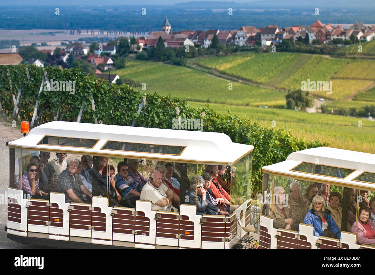 Les touristes sur l'autobus de tournée à travers le chariot à Zellenberg village vignoble Schoenenbourg Riquewihr Alsace France derrière Banque D'Images