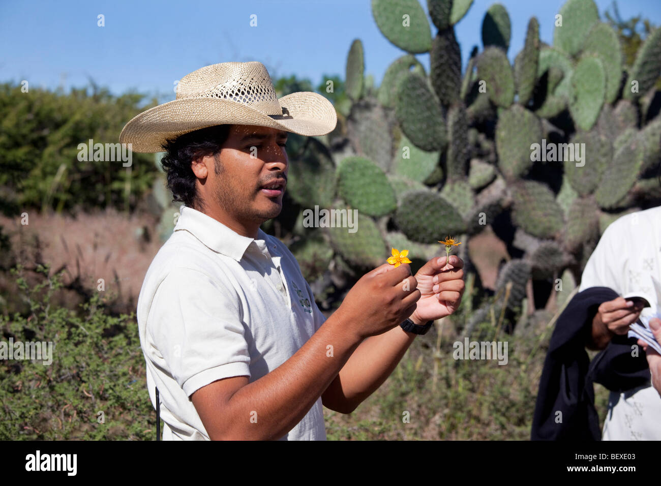 El Charco del Ingenia, Botanical Garden, San Miguel de Allende, Guanajuato, Banque D'Images