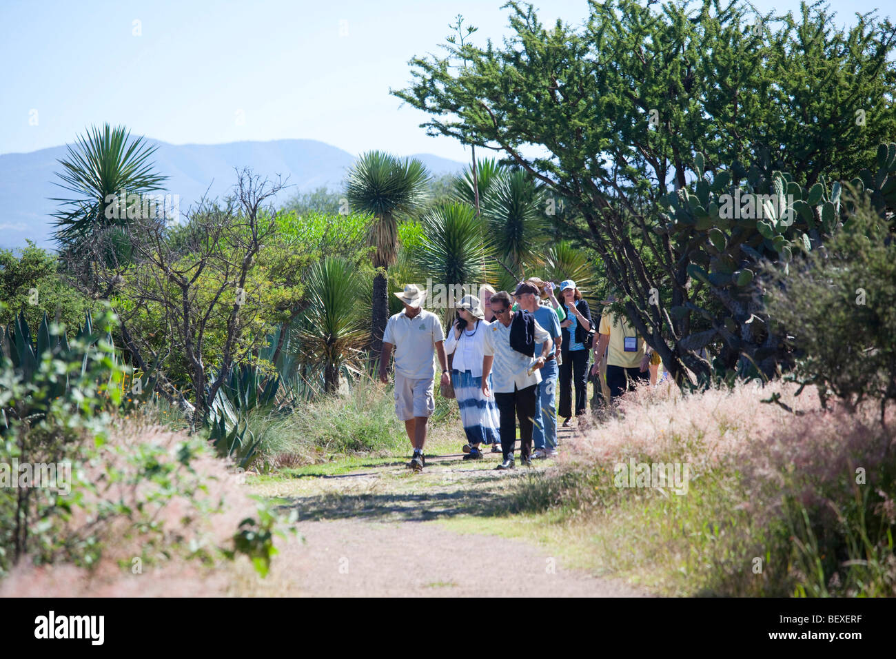 El Charco del Ingenia, Botanical Garden, San Miguel de Allende, Guanajuato, Banque D'Images