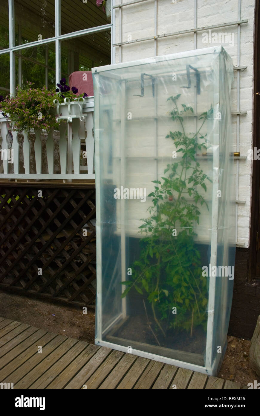 Petite serre joint au mur d'une maison à Pori Finlande Europe Banque D'Images