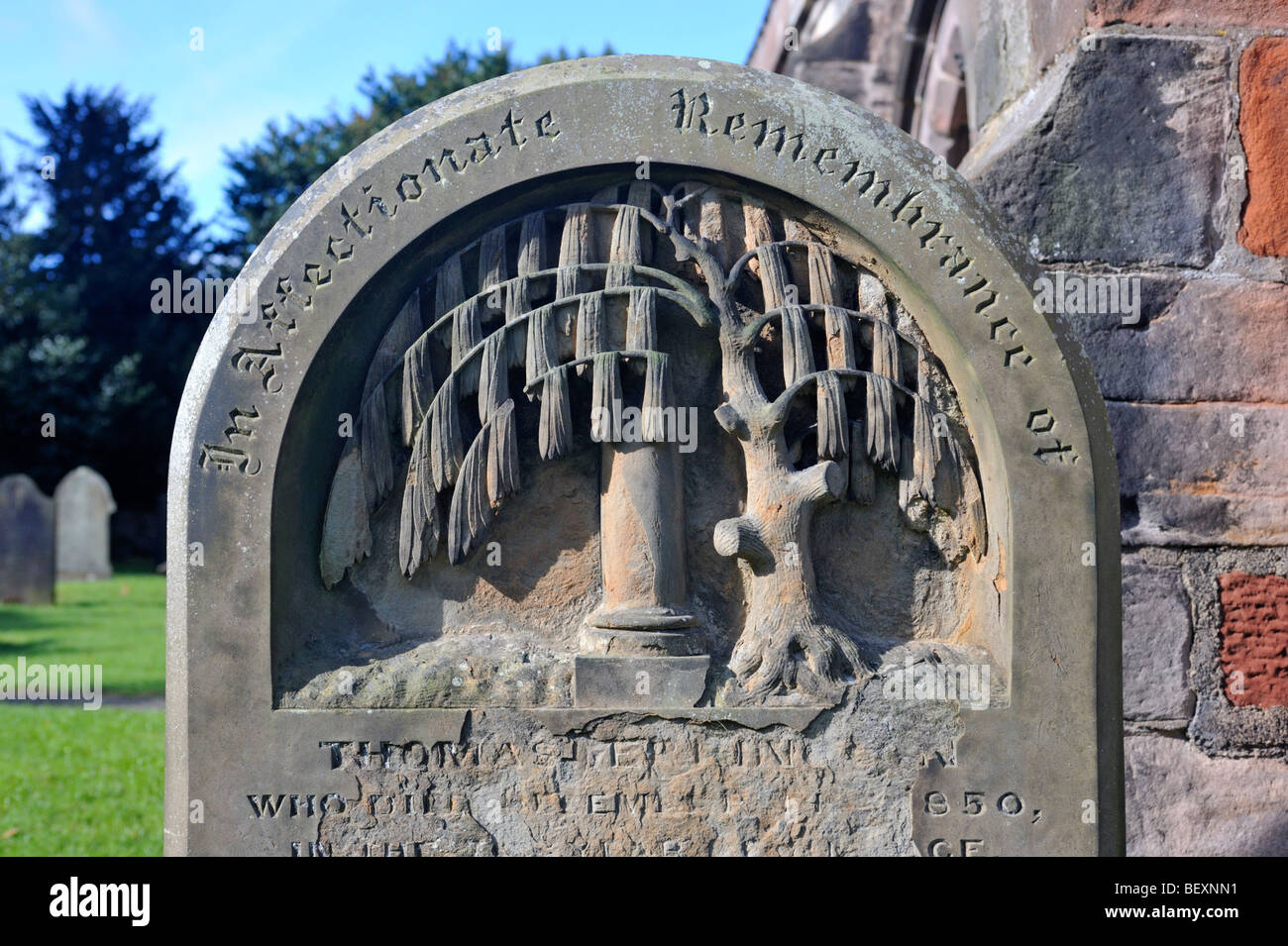 Détail de l'arbre et la pierre tombe avec motifs de colonne . Église de Saint-laurent , dans Appleby Westmorland , Cumbria, Angleterre. Banque D'Images