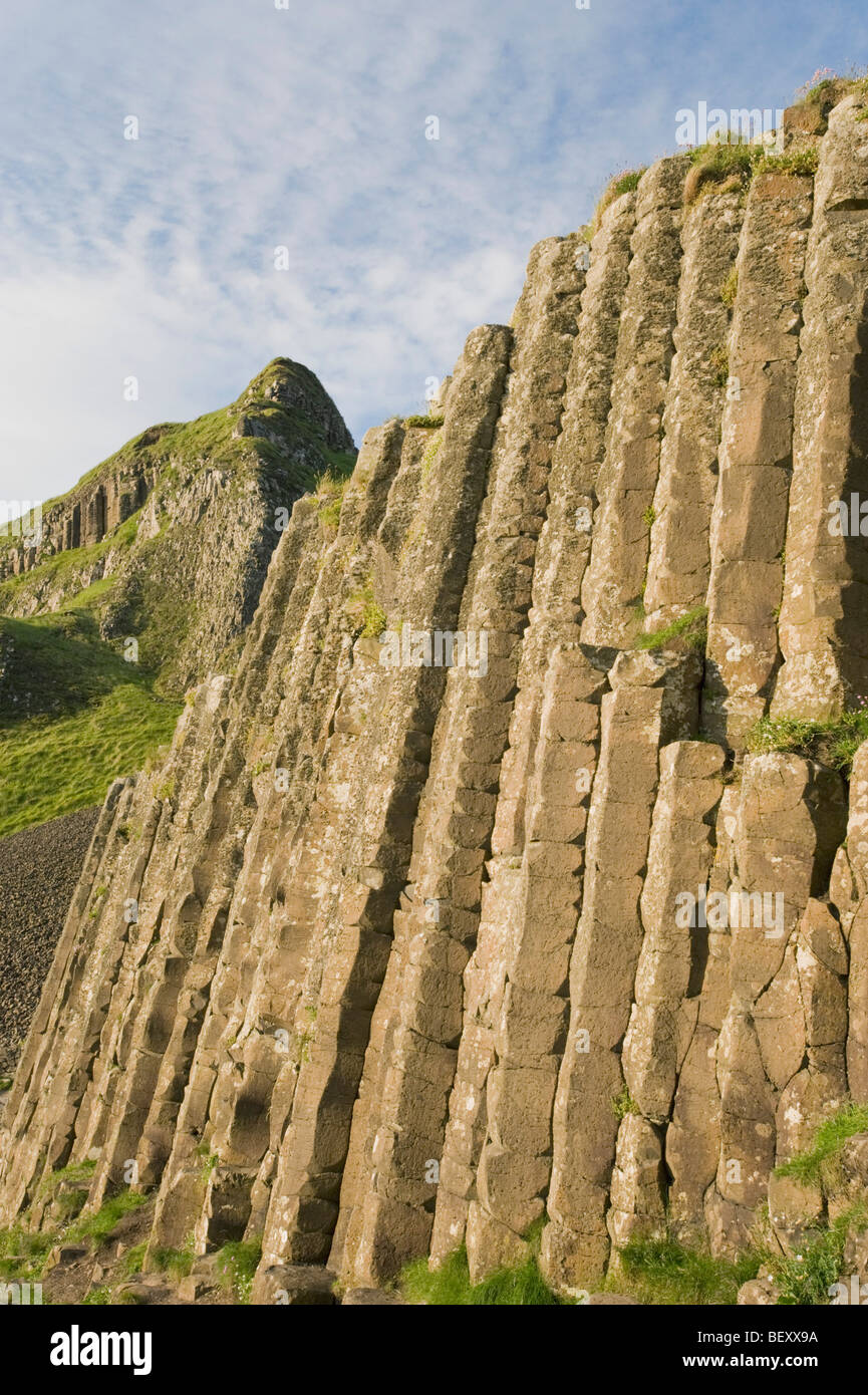 Des géants, des orgues basaltiques, au coucher du soleil, Site du patrimoine mondial, le comté d'Antrim, en Irlande du Nord Banque D'Images