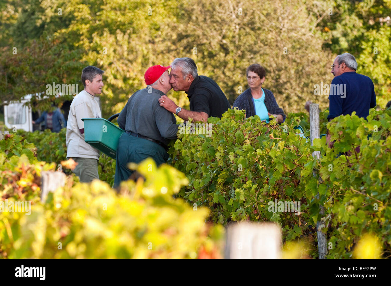 Les hommes de la vigne française avec message d'un baiser - sud-Touraine, France. Banque D'Images