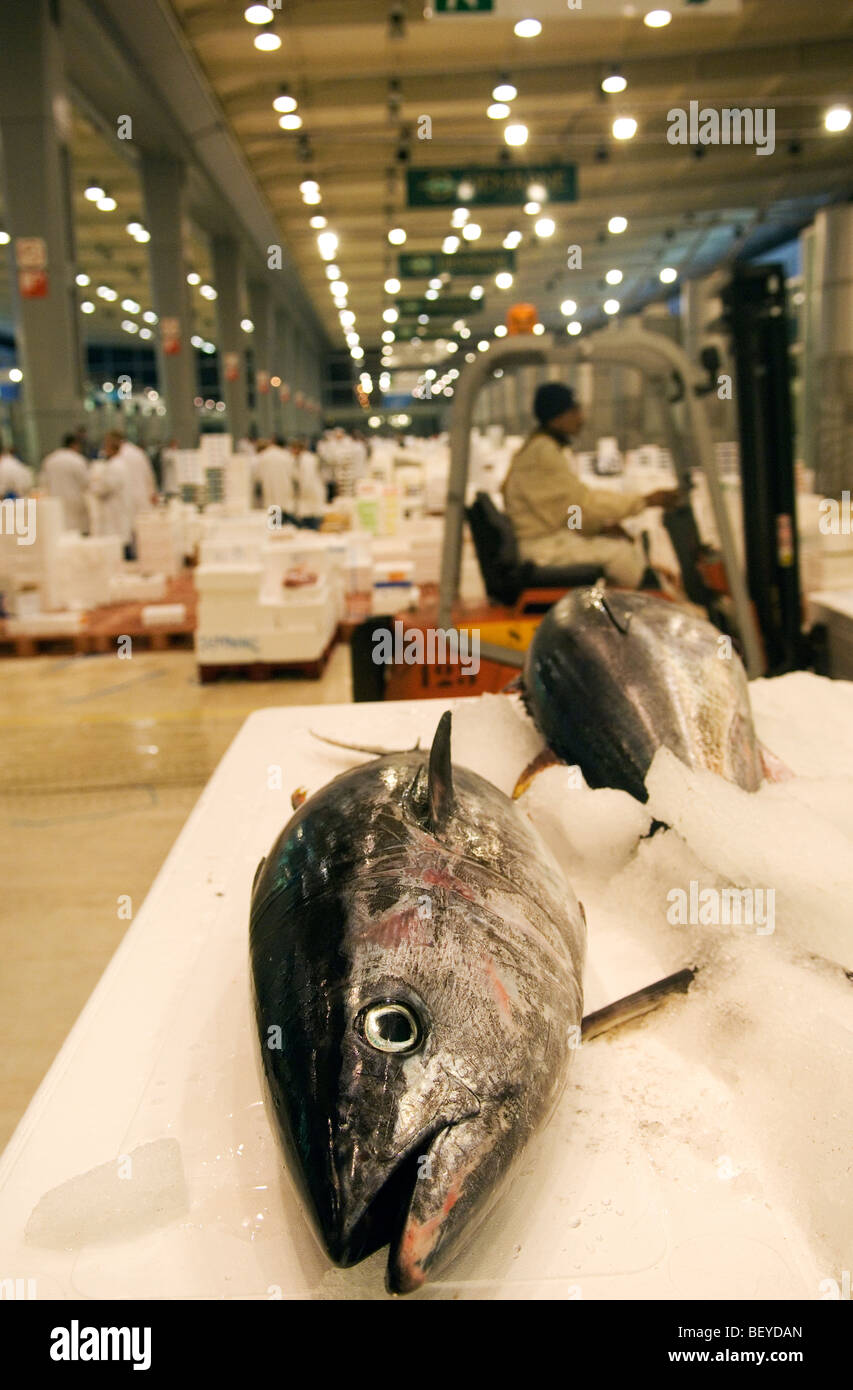 Marché de Rungis, dans la banlieue de Paris est le plus grand commerce de gros de la viande, du poisson et des légumes du marché dans le monde. Banque D'Images