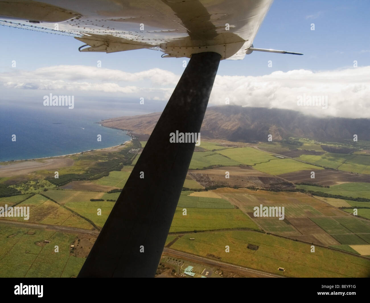 La culture de la canne à sucre, Maui, Hawaii, vue aérienne Banque D'Images