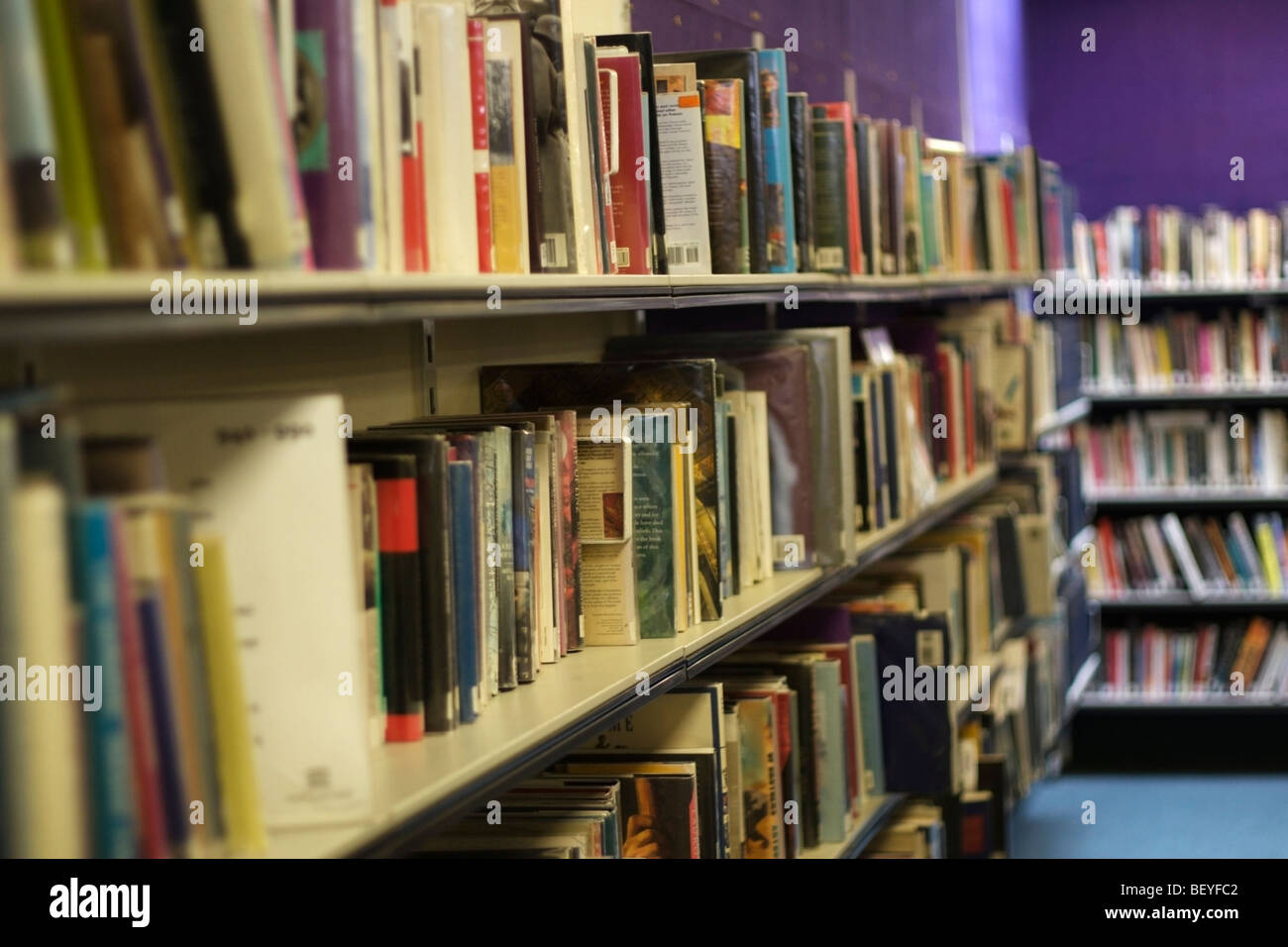 Livres sur des étagères dans une bibliothèque Banque D'Images