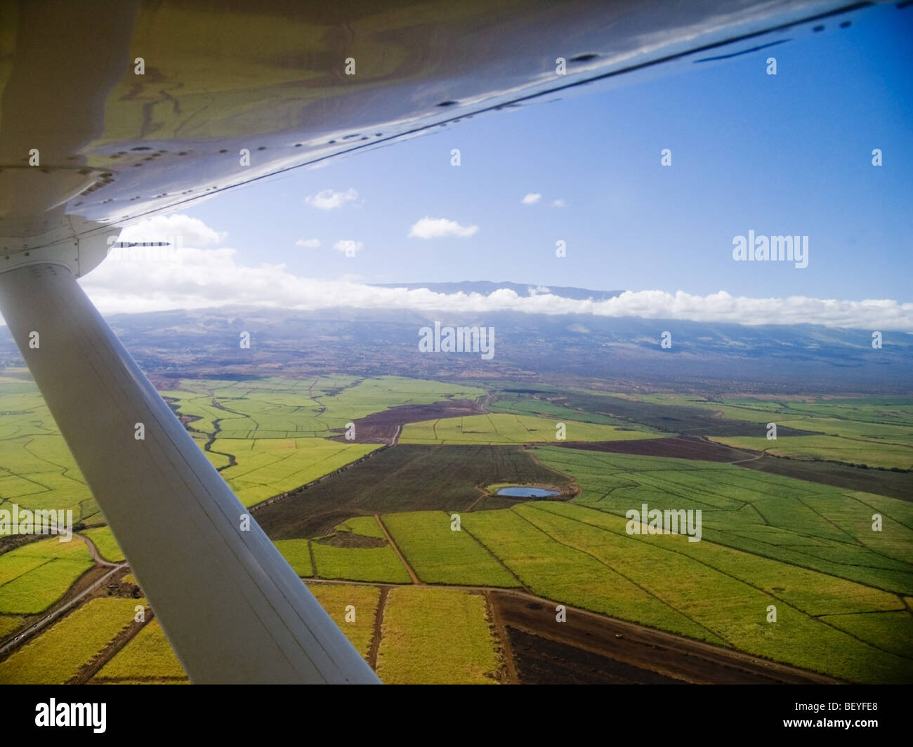 La culture de la canne à sucre, Maui, Hawaii, vue aérienne Banque D'Images
