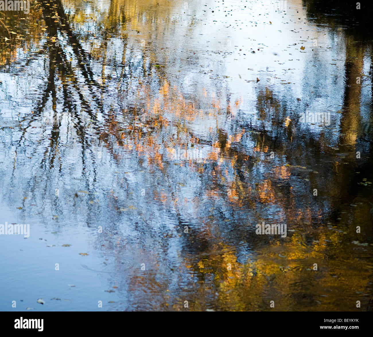 Arbres se reflétant dans la surface de l'eau était, en Suède Banque D'Images