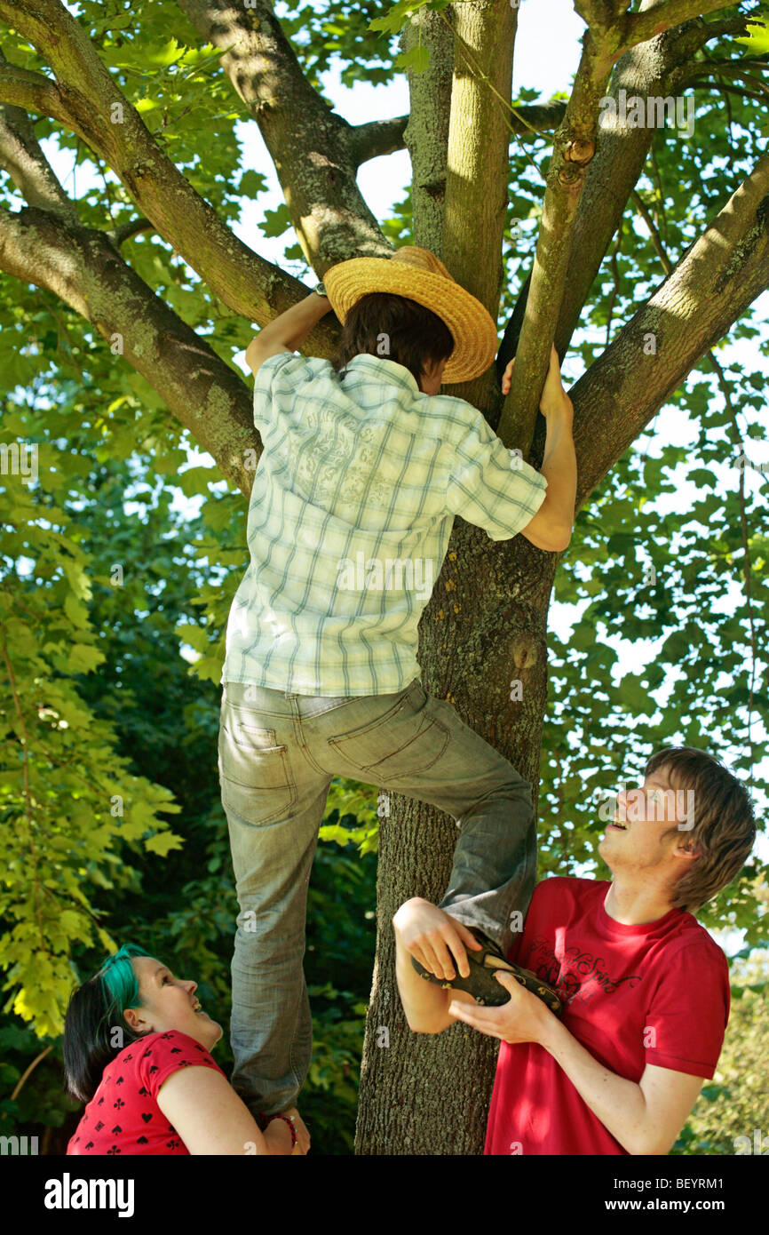 Teenage boy escalade un arbre, ses amis lui donnant une couchette-up Banque D'Images