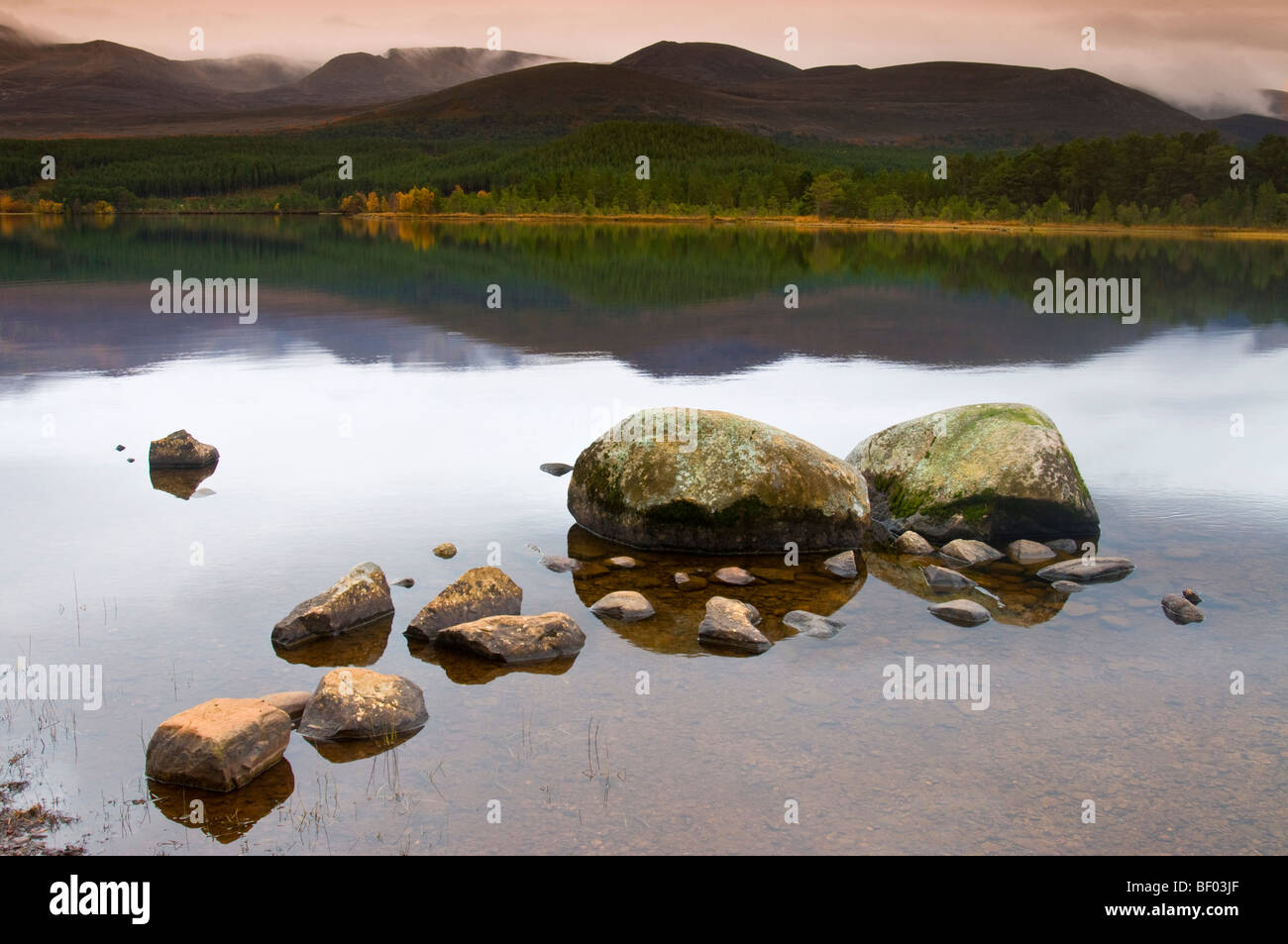 Le Loch Morlich dans le Parc National de Cairngorms Aviemore Inverness-shire SCO 5466 Banque D'Images