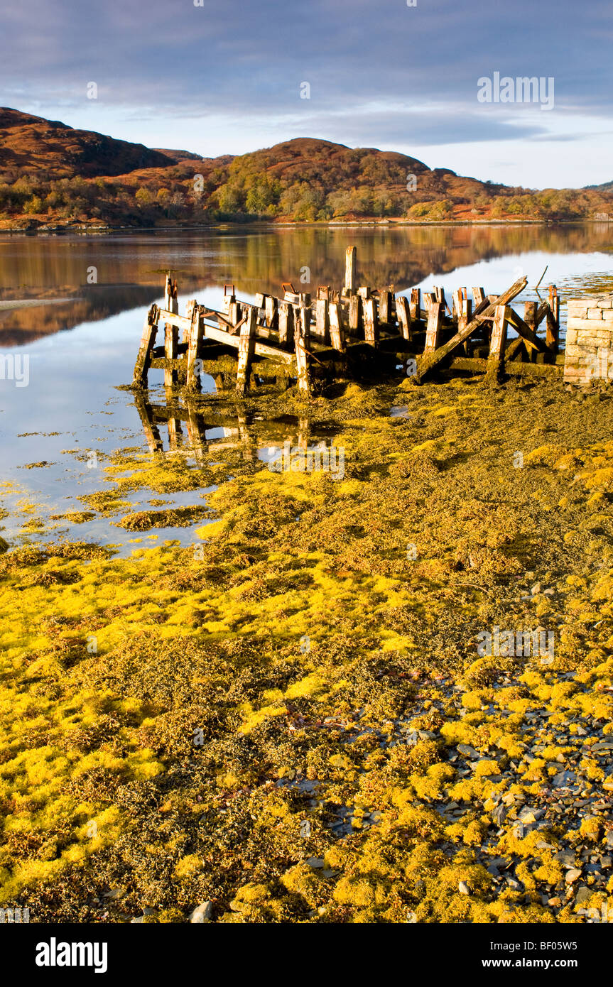 L'ancien Kinlochmoidart Peir sur Loch Moidart par l'A861 road, Lochaber Inverness-shire. L'Écosse. 5439 SCO Banque D'Images