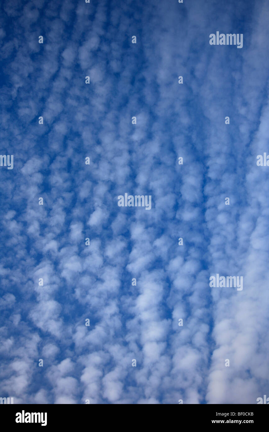 Le Stratocumulus nuages duveteux dans Deep blue sky polarisée Banque D'Images