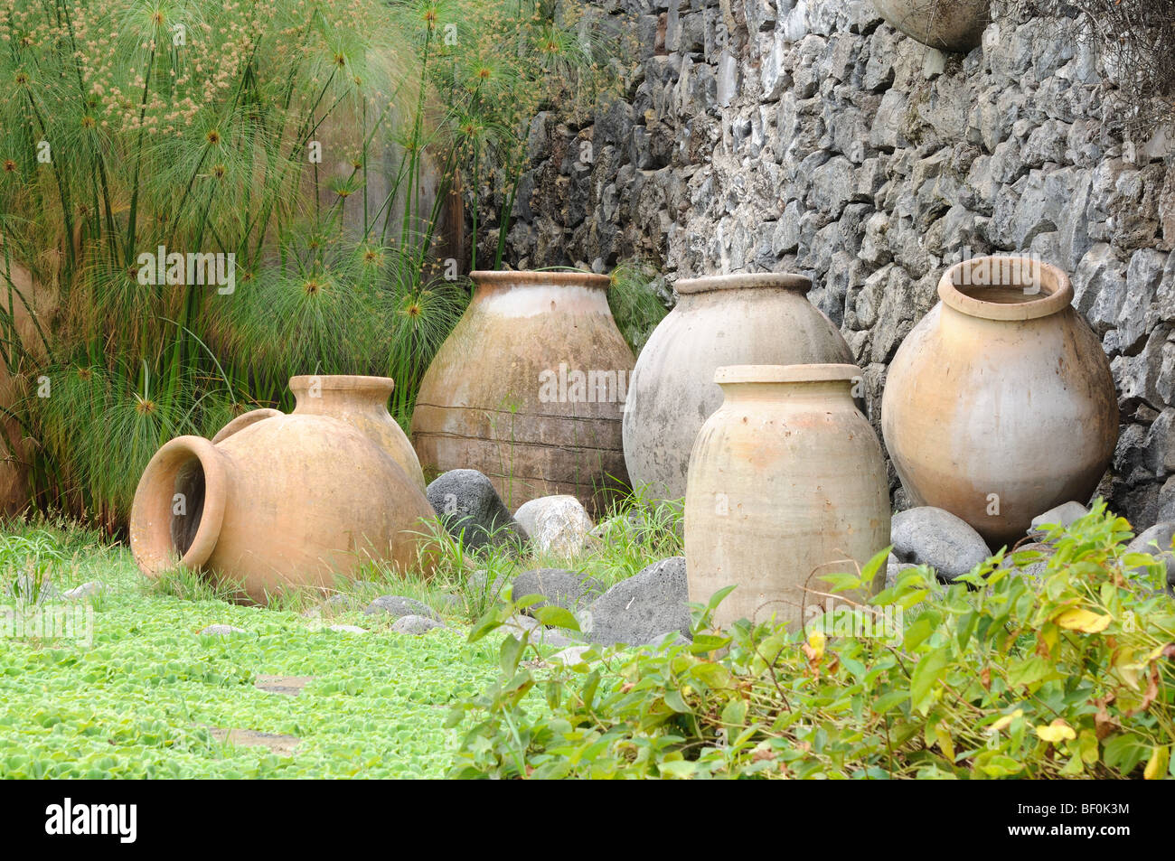 Amphores méditerranéennes dans le jardin. Île des Canaries Tenerife, Espagne Banque D'Images