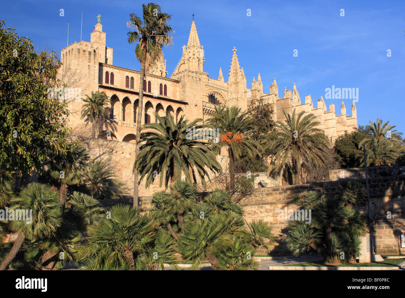 Cathédrale La Seu, Palma de Majorque, Îles Baléares, Espagne Banque D'Images