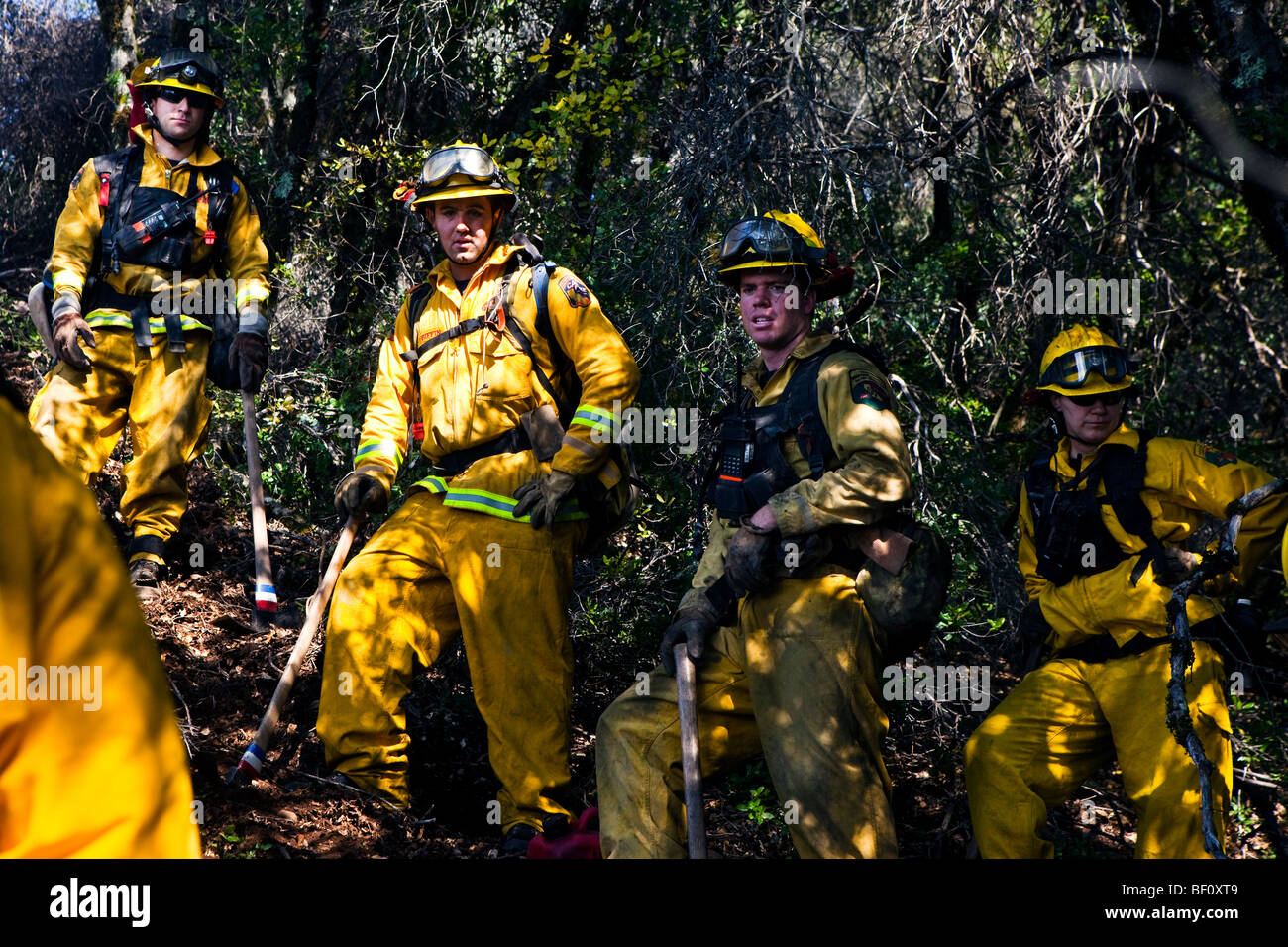 Pompiers forestiers à la California Loma de forêt à la Santa Cruz Mountains. CALFIRE / CDF Banque D'Images