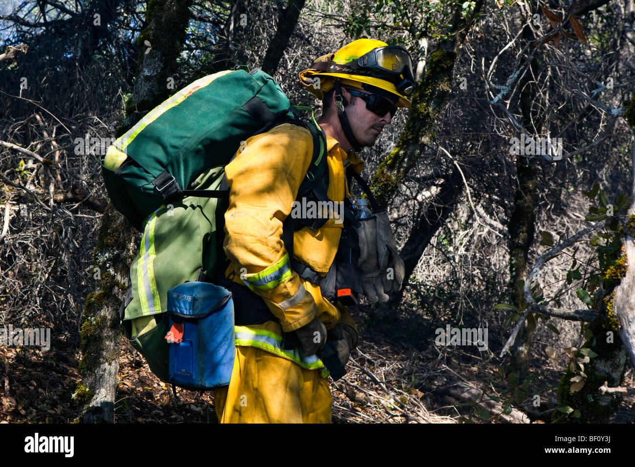 Pompiers forestiers à la California Loma de forêt à la Santa Cruz Mountains. CALFIRE / CDF Banque D'Images