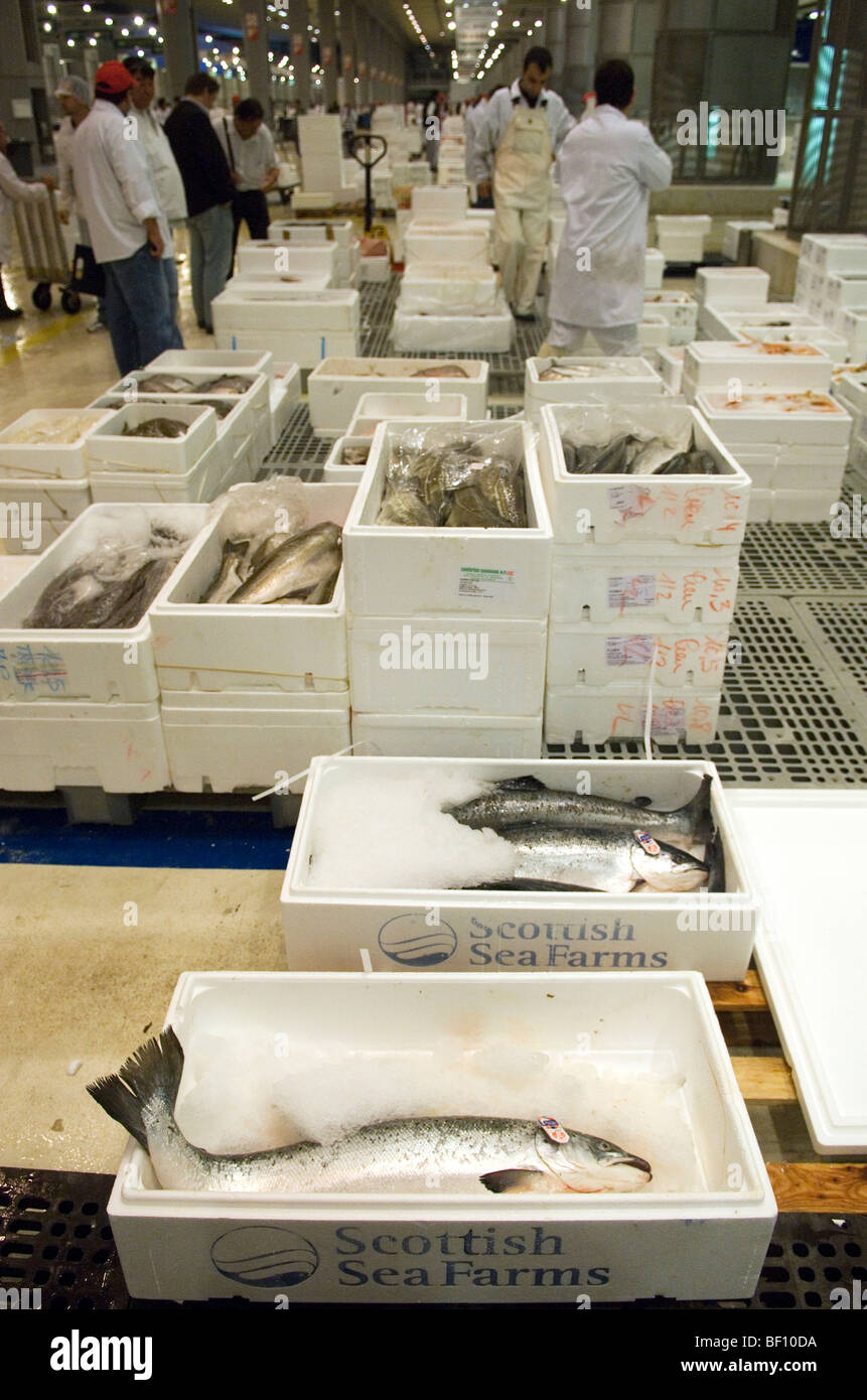 Marché de Rungis, dans la banlieue de Paris est le plus grand commerce de gros de la viande, du poisson et des légumes du marché dans le monde. Banque D'Images