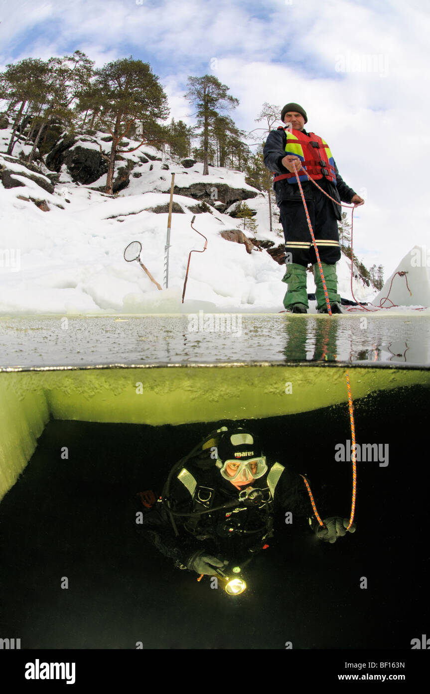 Split shot de la plongée sous glace, ice diver faisant des signaux de corde, mer Blanche, Russie Banque D'Images