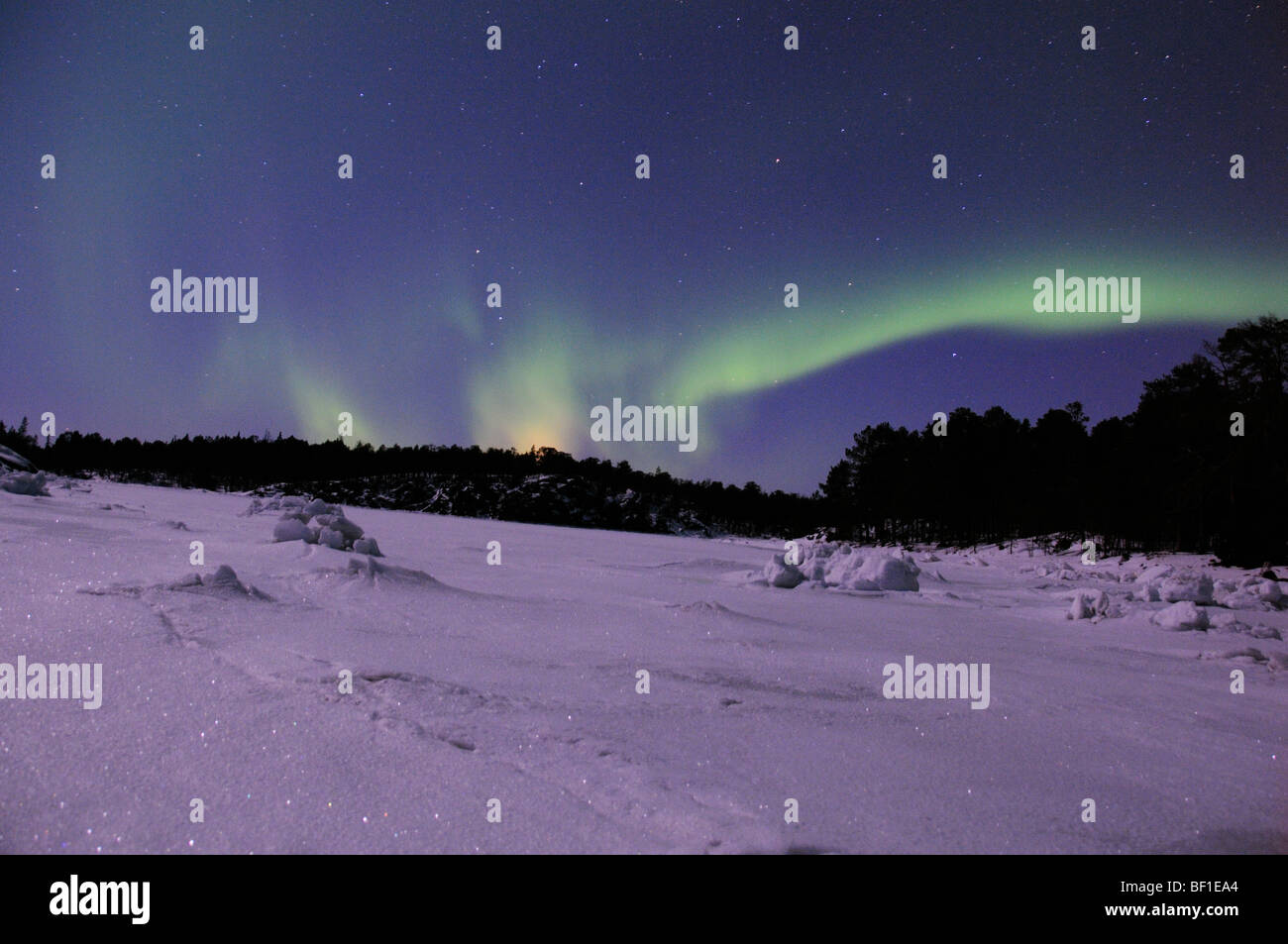 Aurora Borealis, lumière polaire, la Polarlight, aurores polaires, mer Blanche, Russie Banque D'Images