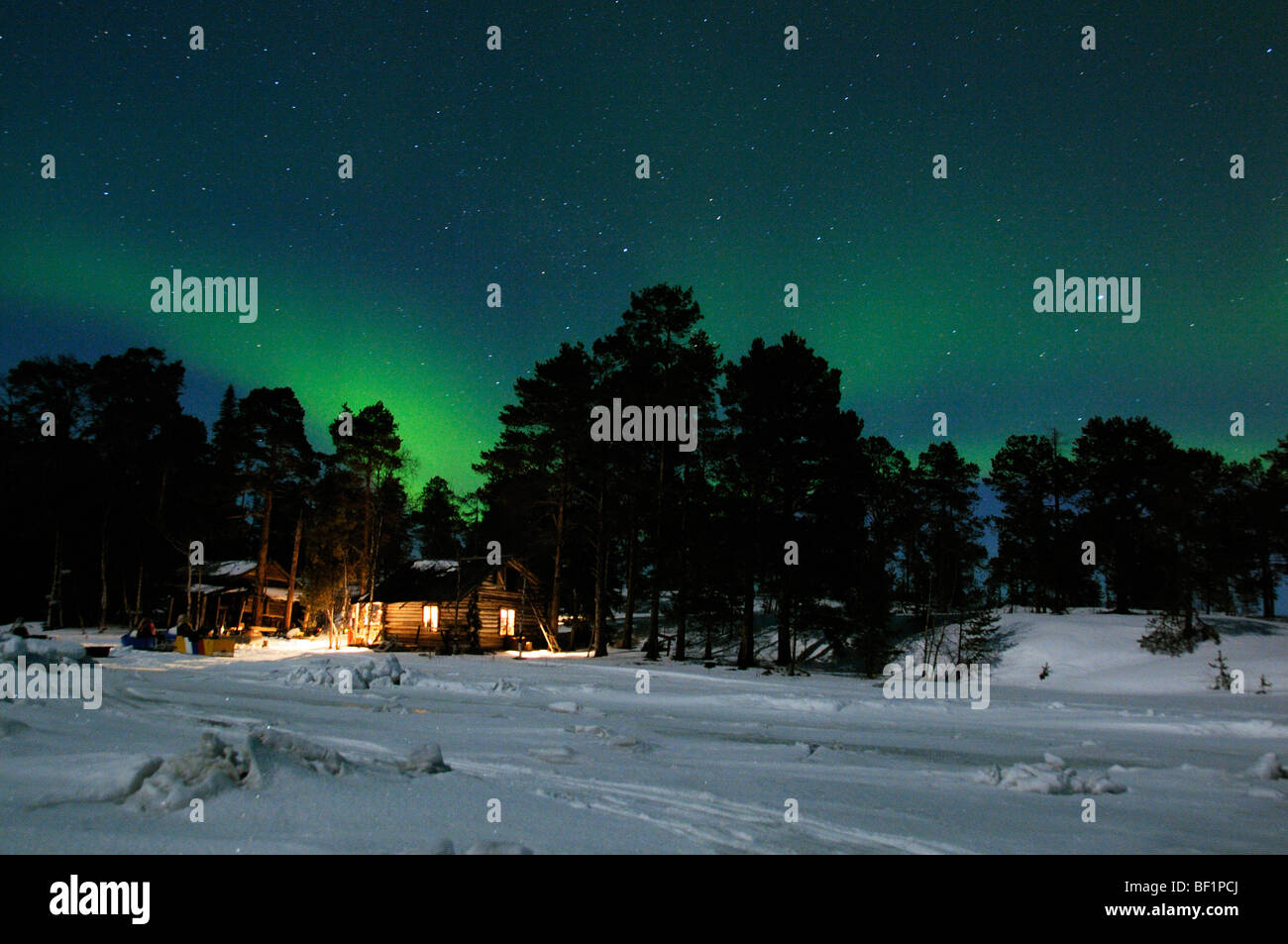 Aurora Borealis, lumière polaire, la Polarlight, aurores polaires, mer Blanche, Russie Banque D'Images