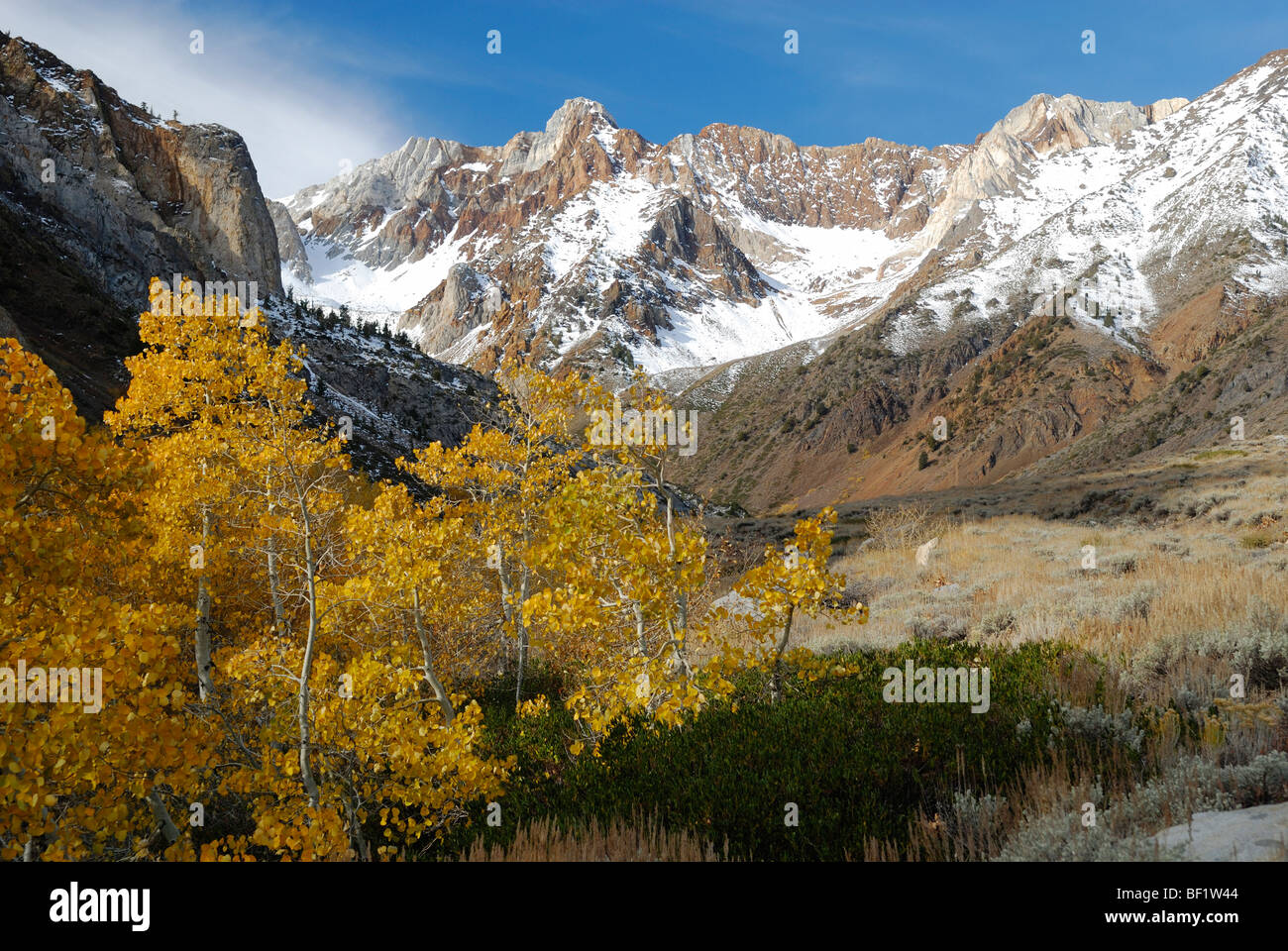 Automne vista dans la vallée du ruisseau McGee, la Sierra Nevada, en Californie Banque D'Images Automne vista dans la vallée du ruisseau McGee, la Sierra Nevada, en Californie Banque D'Images