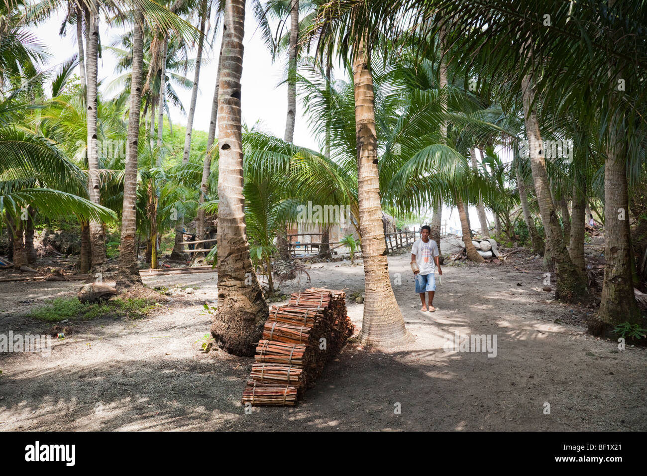 Homme de son pays dans une palmeraie dans Sinapsapan village Guimaras Island Philippines Banque D'Images