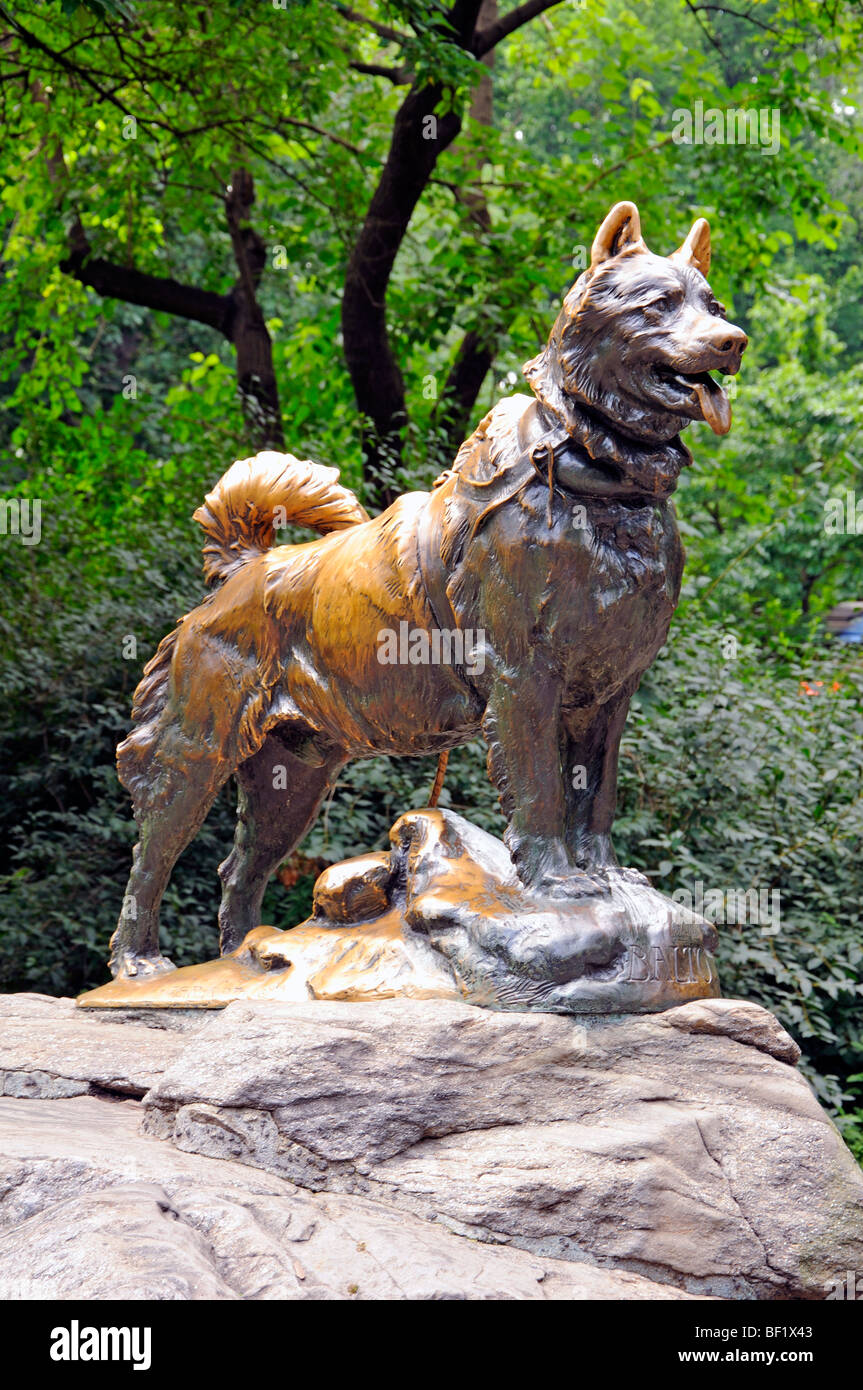 Balto - la statue de chien de traîneau de Frederick Roth dans Central Park, New York Banque D'Images