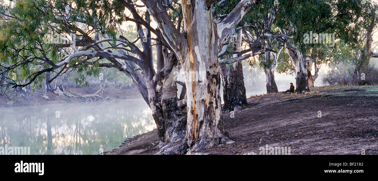 Murray River, Australie Banque D'Images