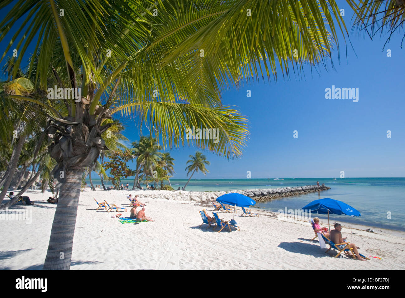 Les gens à un palm beach sous le ciel bleu, Smathers Beach, Key West, Florida Keys, Floride, USA Banque D'Images