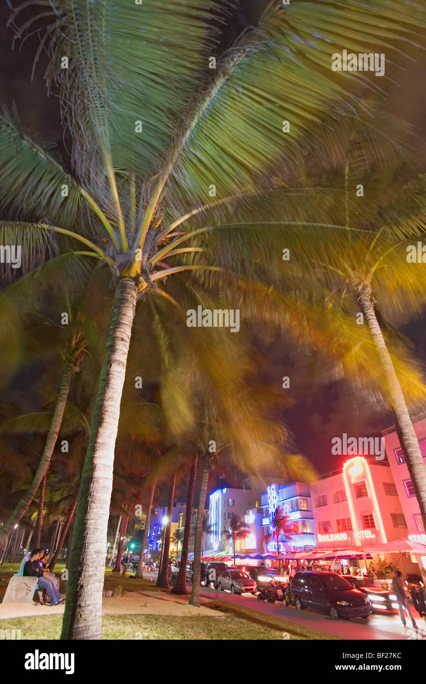 Palmiers et d'hôtels à Ocean Drive illuminée la nuit, quartier Art déco, Miami Beach, Miami, Floride, USA Banque D'Images