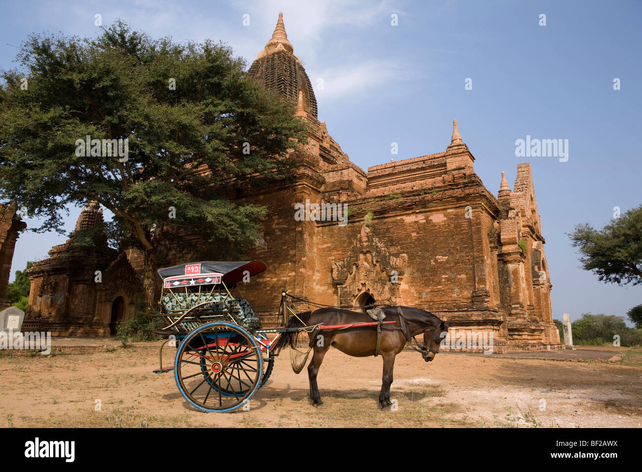 Entraîneur de chevaux en face d'une pagode à Bagan, Myanmar, Birmanie Banque D'Images