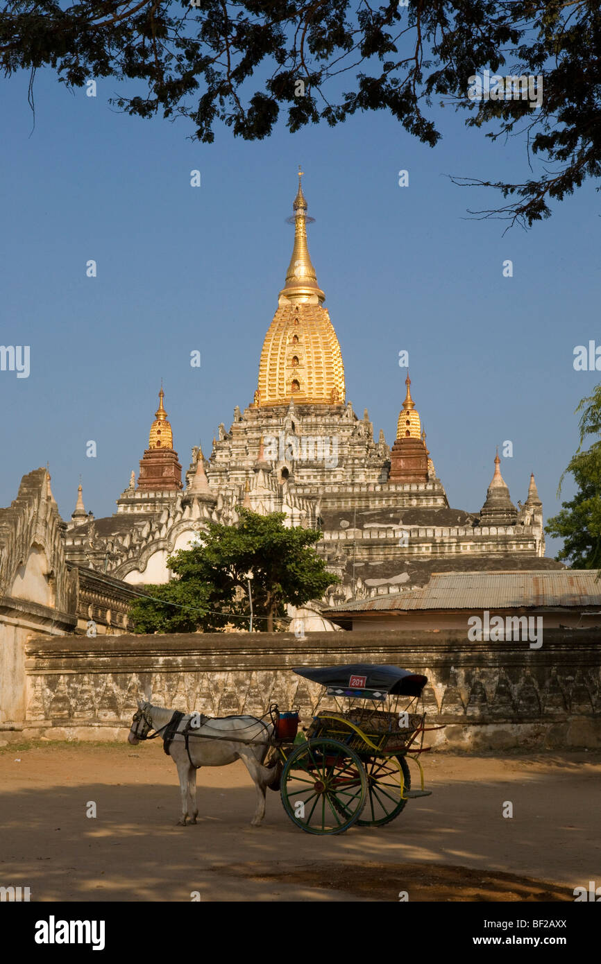 Entraîneur de chevaux en face d'une pagode à Bagan, Myanmar, Birmanie Banque D'Images