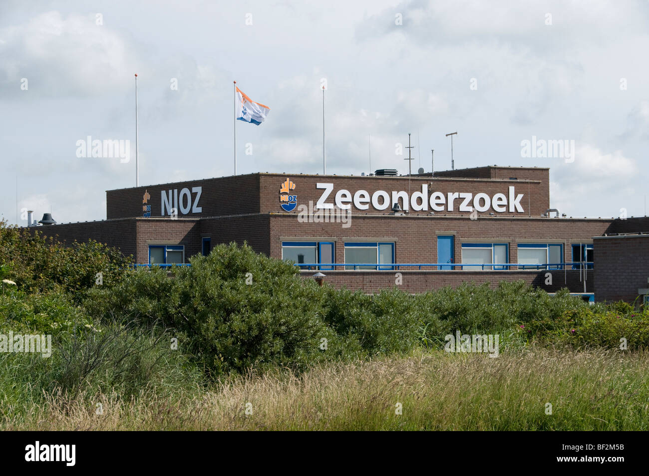 Pays-bas Hollande Texel île de la mer des Wadden recherche Zeeonderzoek Banque D'Images