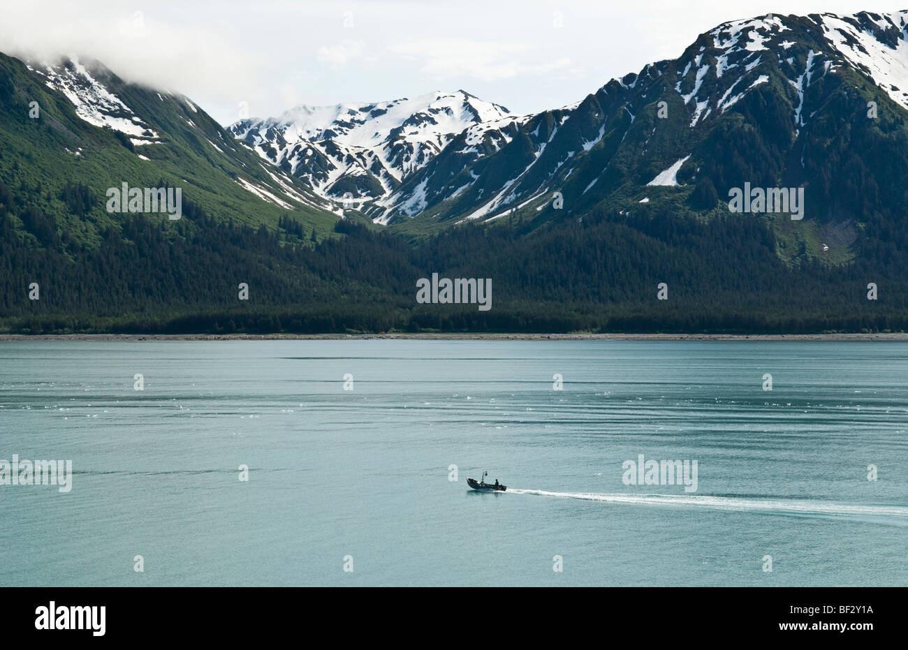 Mendenhall Glacier en dehors de Juneau, Alaska Banque D'Images