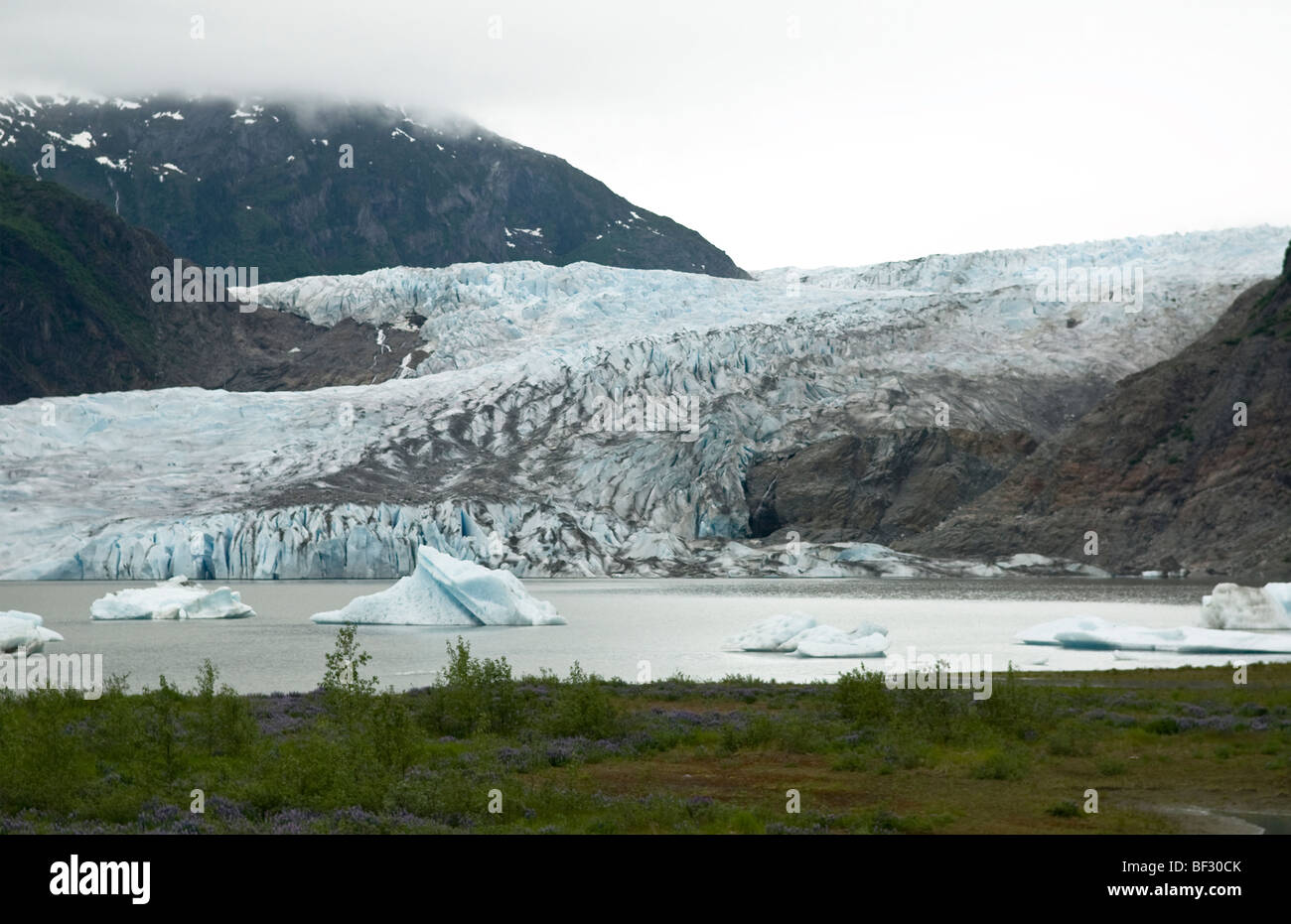 Mendenhall Glacier en dehors de Juneau, Alaska Banque D'Images