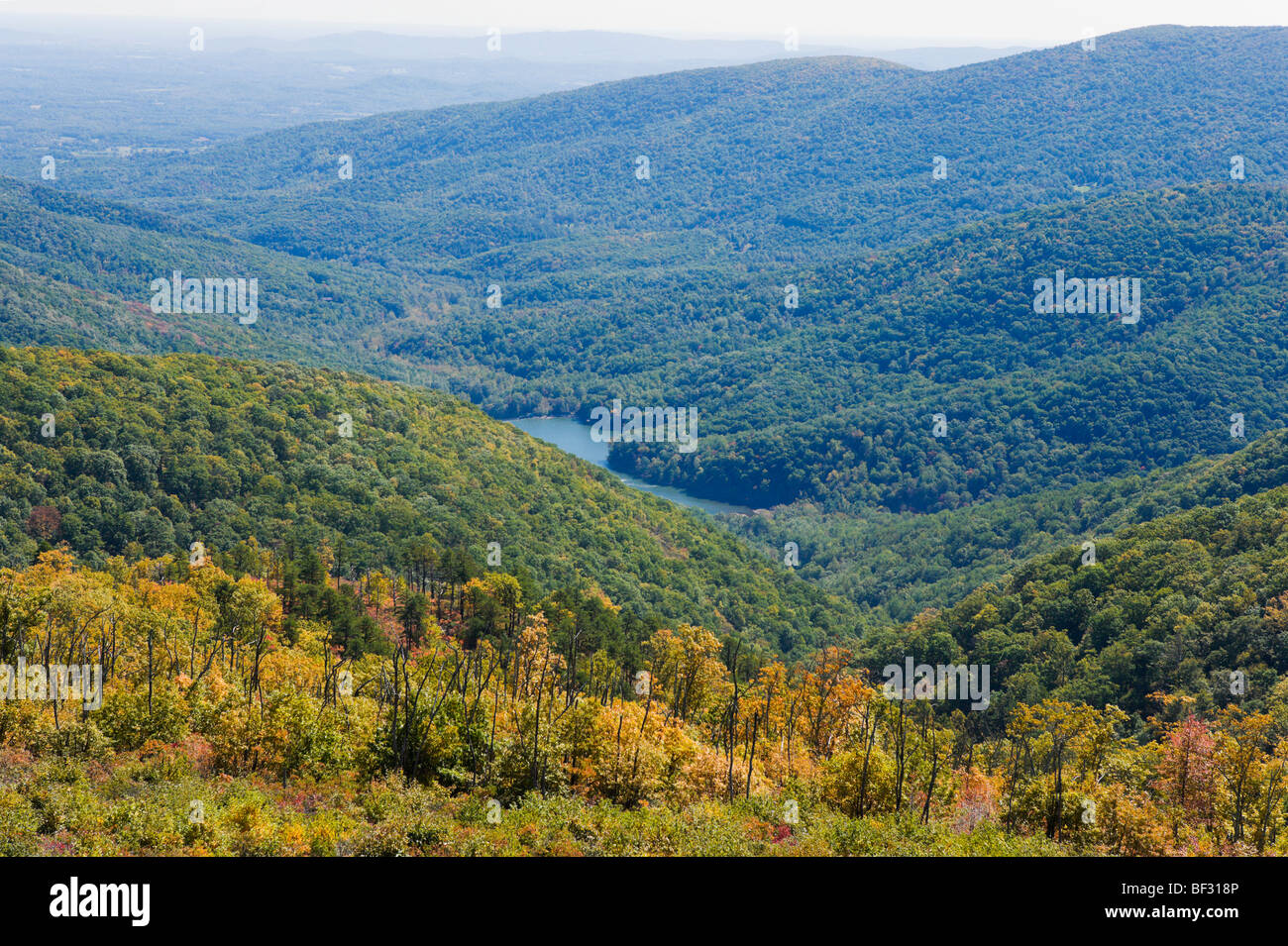 Vue de la rivière automne Moormans surplombent sur Skyline Drive, Shenandoah National Park, Blue Ridge Mountains, Virginie, USA Banque D'Images