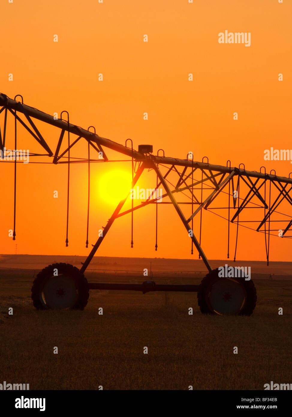 Agriculture - système d'irrigation à pivot central qui se profile au lever du soleil sur un champ de foin / de l'Alberta, au Canada. Banque D'Images