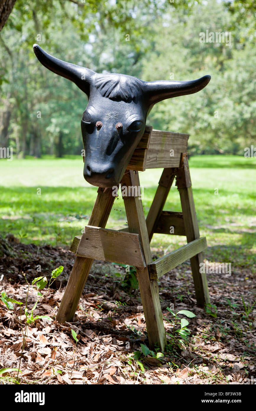 L'amitié en Floride - Juillet 2008 - tête de vache avec des cornes montées sur des grumes de cheval pour la pratique au lasso Banque D'Images
