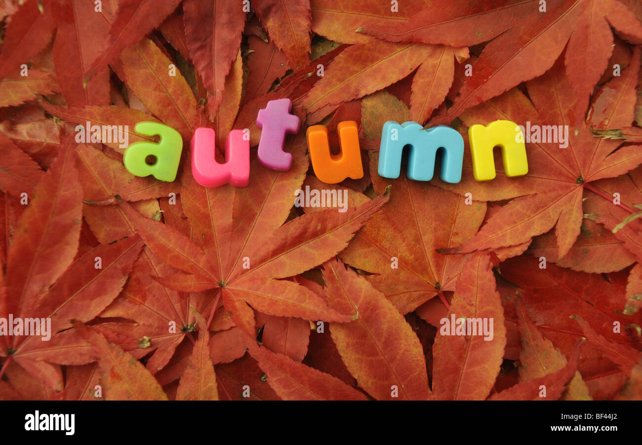 Arbre d'automne avec les feuilles tombées de l'ORTHOGRAPHE DES LETTRES 'Autumn' Banque D'Images