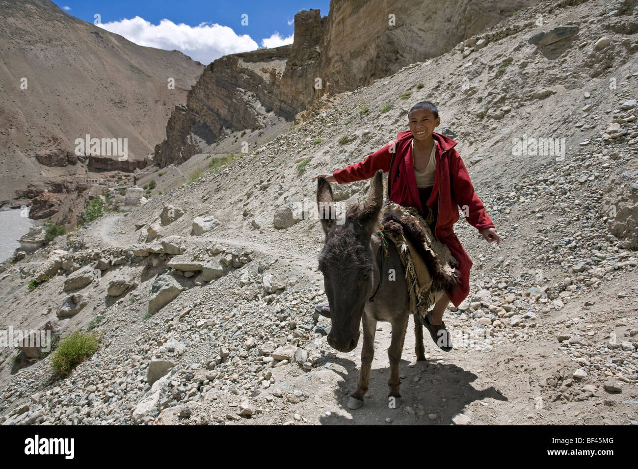 Moine novice un âne. Près de Phugtal monastery. Zanskar. L'Inde Banque D'Images